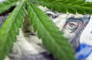 marijuana stocks