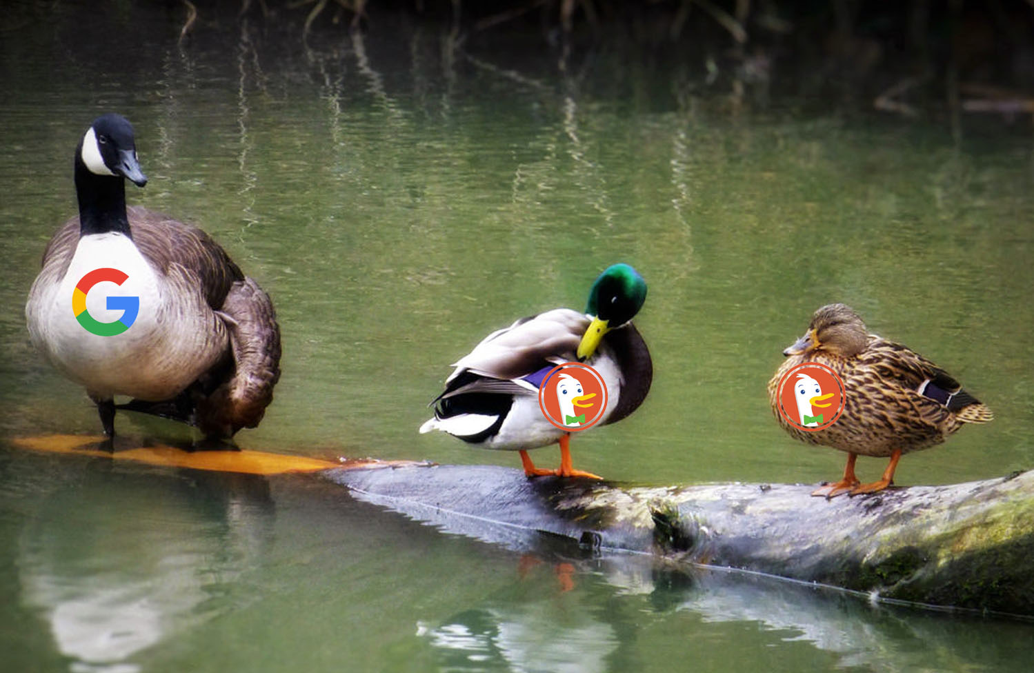 duck duck g0