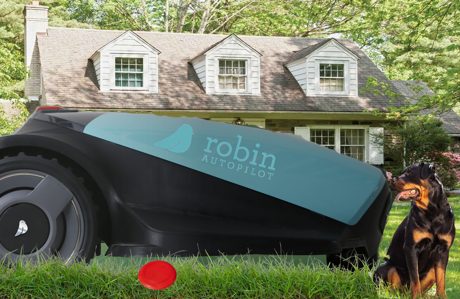 stock_price_robin