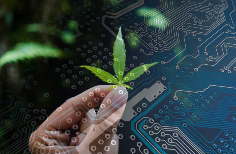 Will Cannabis Technology Be The Next Sector To Watch? Stock Price