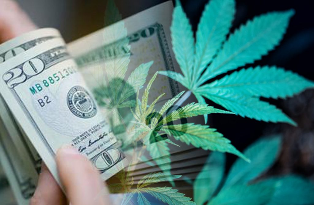 cannabis stock to watch